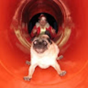 Meet your Posher, Joshua